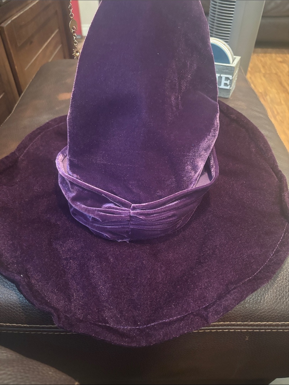 Magic Plush Velvet Wide-Brim Hat in Purple